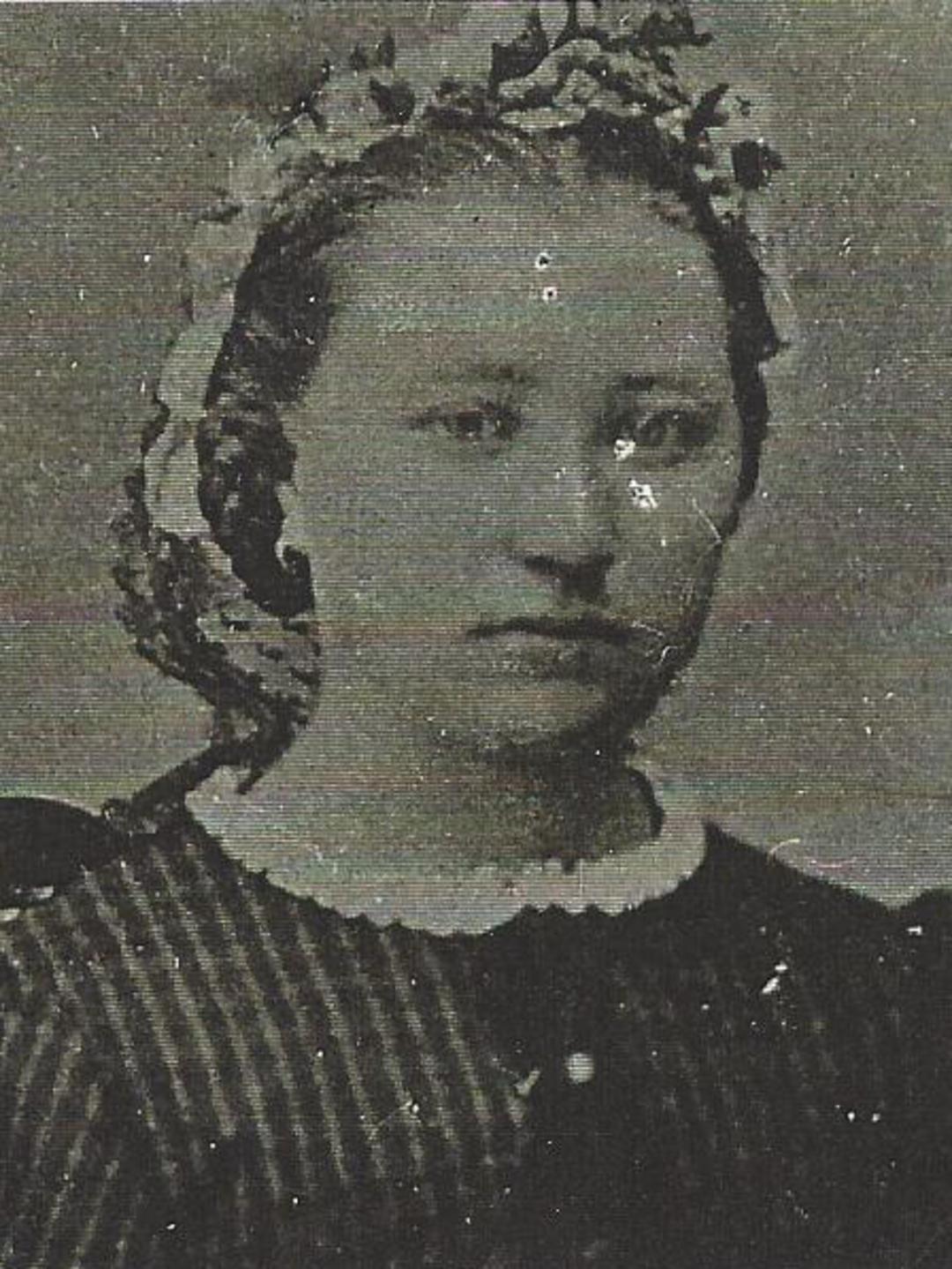 Metta Marie Sandersen (1848 - 1910) Profile